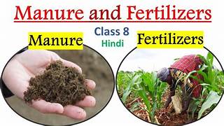Fertilizer and Manure