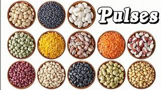 Pulses & Legumes