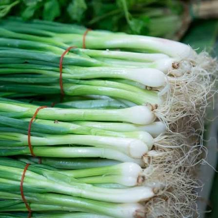 SPRING ONION FRESH