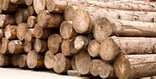 wood & forest produce