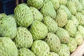 Custard apple