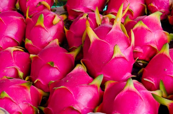 Dragon fruit