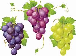 Grapes