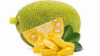 jack fruit