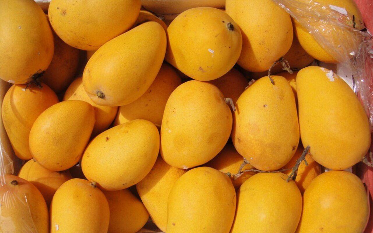 Mangos