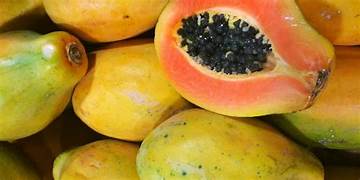 Papaya