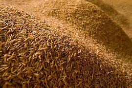 Rice bran