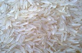 White Rice regular